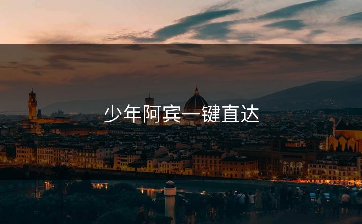 少年阿宾一键直达