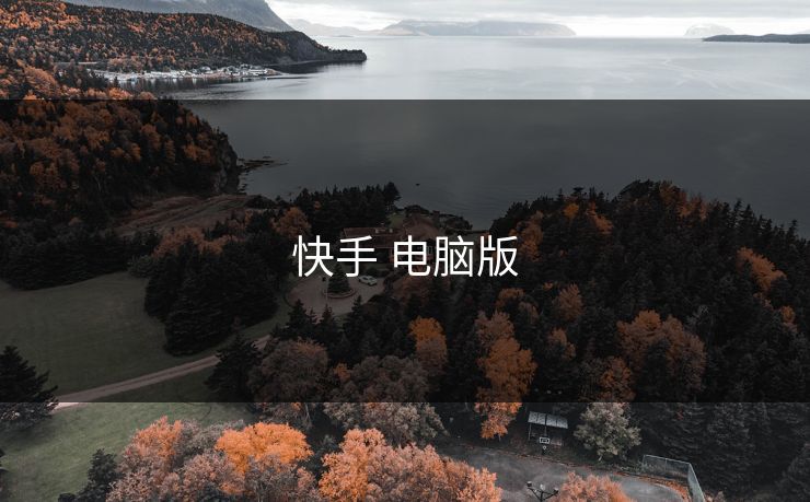 快手 电脑版