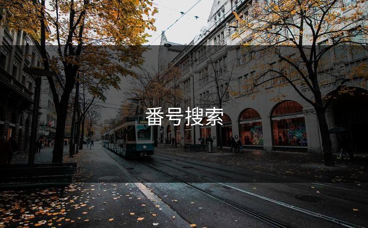 番号搜索