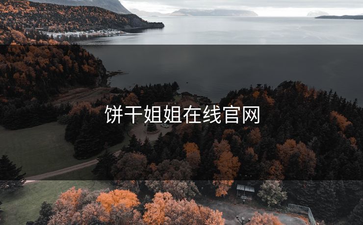 饼干姐姐在线官网