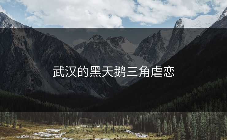 武汉的黑天鹅三角虐恋