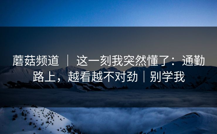 蘑菇频道 ｜ 这一刻我突然懂了：通勤路上，越看越不对劲｜别学我